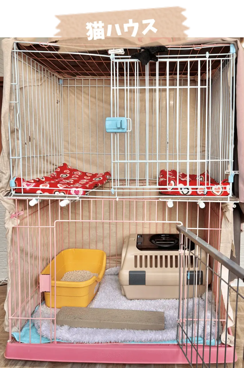 猫のゲージ