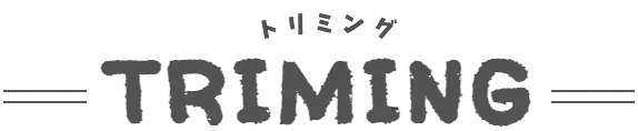 タイトルトリミング